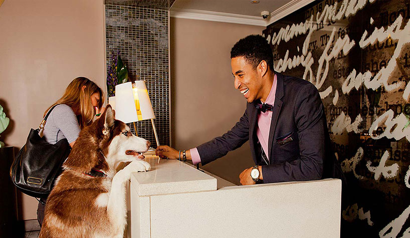 Amenity Services offers hoteliers operational tips and products to become a pet-friendly hotel.