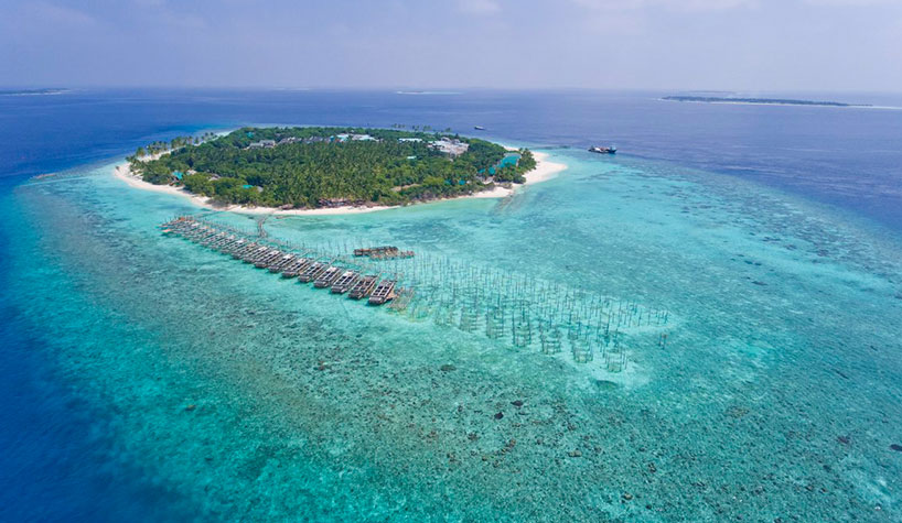 Reethi Faru in the Maldives, an area that is susceptible to environmental changes.