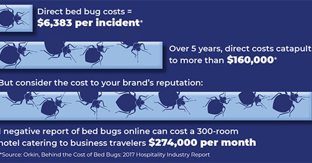 When It Comes to Bed Bugs, Follow Expert Advice