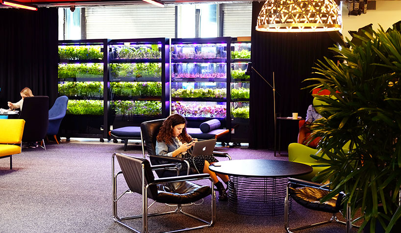 Farmshelf is a smart, automated farm for hotels, restaurants and corporate cafes.